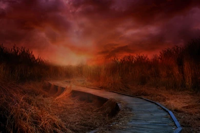 Hd Wallpapers Cool Ipad Mini Wallpapers Hd Apple Ipad Mini Hd ...