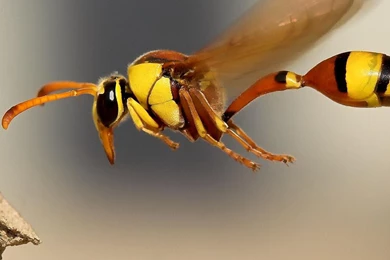 iPad Retina Wallpapers HD   Retina Ready, Stunning Wallpapers