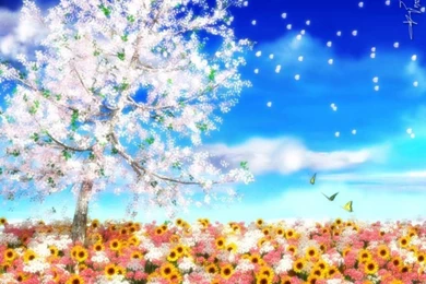 Spring   Seasonal Wallpapers   Crazy Frankenstein