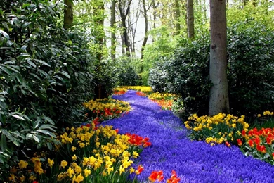 Download Free Spring Wallpapers