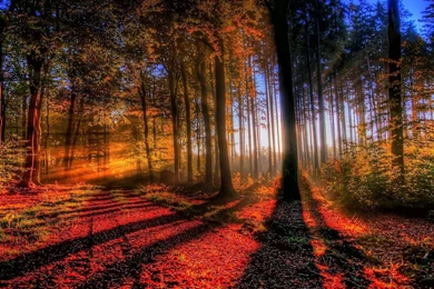 Fall Wallpapers 6e2   HD Wallpapers