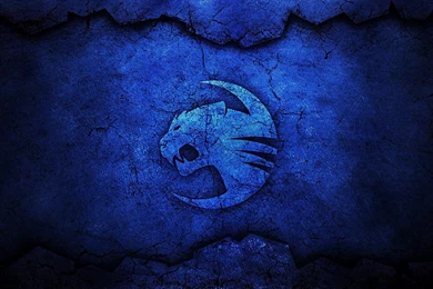 Download Roccat Logo Wallpapers Desktop Photos