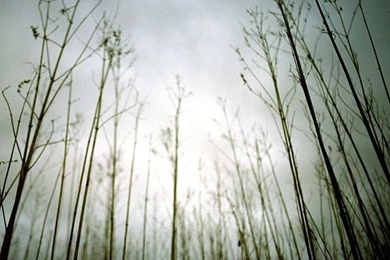 NIN: "Ghosts I IV" iPad Wallpapers