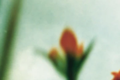 NIN: "The Fragile" iPad Wallpapers