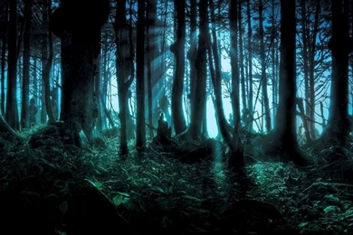 Download Fantasy Forest Wallpapers Desktop Backgrounds