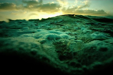 NIN Industrial Metal Alternative Rock Nine inch nails Nine Inch ...