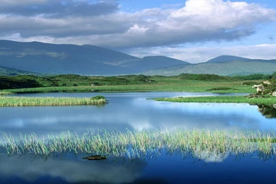 Nature Wallpapers, Hd Landscape Images, Nature Backgrounds ...