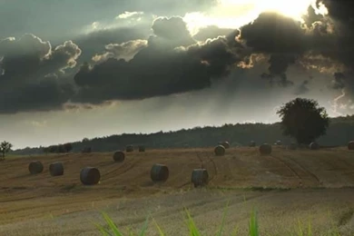 Gallery For   Farming Wallpapers For Phones