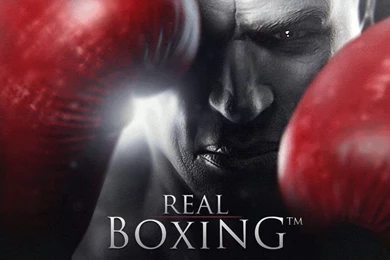 Gallery For   Boxing Training Wallpapers