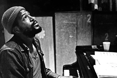 Amber Heard Wallpapers