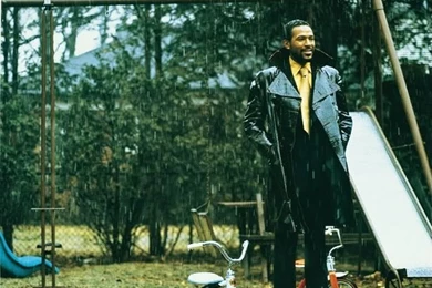 Marvin Gaye –