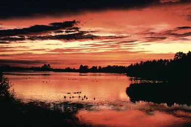 File:Sunset Free Wallpaper.jpg   Wikimedia Commons