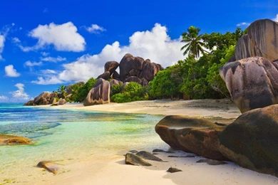 Desktop Wallpapers 1024X768   Desktop Backgrounds