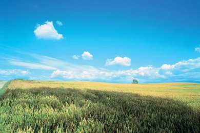 Gallery For   Fresh Nature Wallpapers