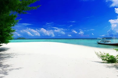 Gallery For   High Resolution Desktop Wallpapers Beach