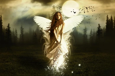 Gallery For   Angels Wallpapers For PC