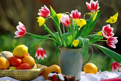 9 Beautiful Spring Flowers Wallpapers HD Wallpaper Backgrounds ...