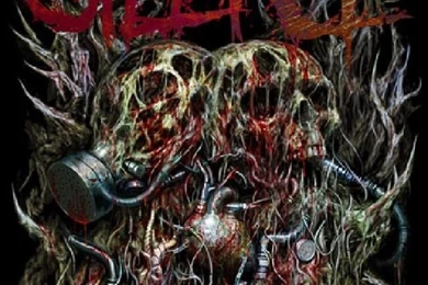 Suicide Silence Quotes. QuotesGram