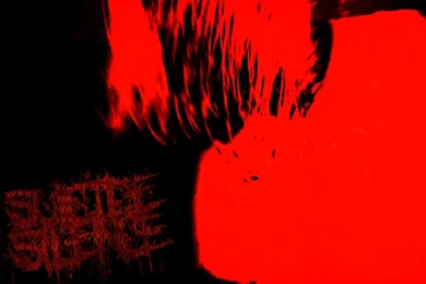 Suicide Silence   BANDSWALLPAPERS