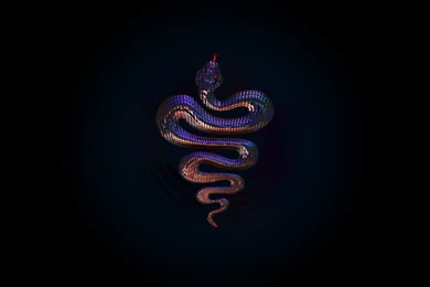 Snake Wallpapers 3326 Awesome Wallpapers   Wallnos.com