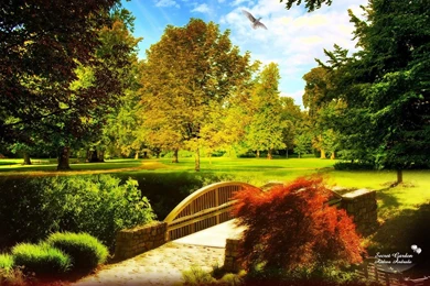 High Definition Park Wallpapers Of Nature Your Top HD Wallpapers ...