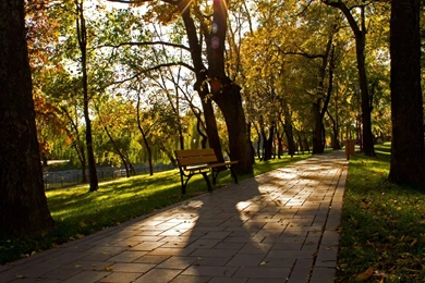 Alley In A Park Wallpapers   Photography Wallpapers