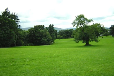 Kilbroney Park, Rostrevor Photos / Desktop Backgrounds / Wallpapers