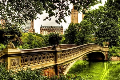 CENTRAL PARK BACKGROUNDS RE005