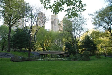 CENTRAL PARK BACKGROUNDS FS005