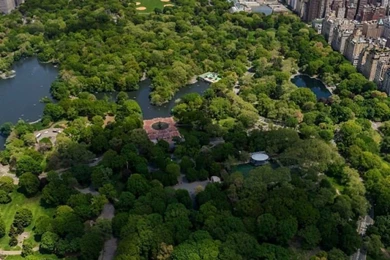 iPhone 6 Central Park Wallpapers HD, Desktop Backgrounds 750x1334