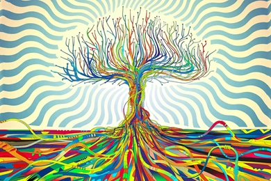 Trippy Colorful Tree HD Wallpapers
