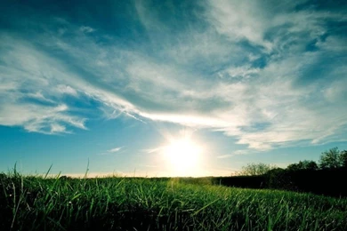 Green Grass & Sky Desktop Backgrounds   Desktop Backgrounds