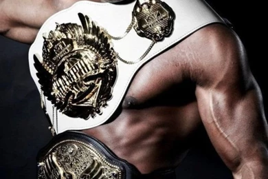 Alistair Overeem Mma Ufc Fighter Mixed 640x1136.jpg