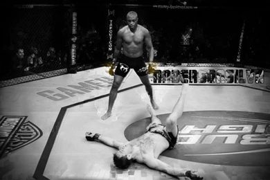 Gallery For   Wallpapers Ufc Anderson Silva