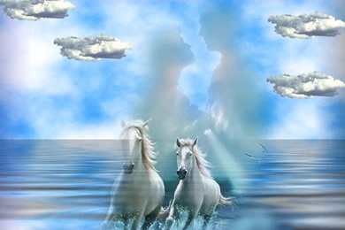 Horses Wallpapers