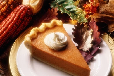 Pumpkin Pie   Wallpaper.