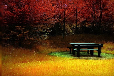 Full HD Desktop Wallpapers 1920x1080