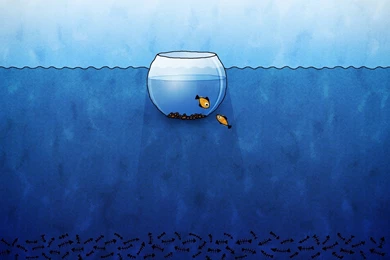 Digital Art Illustrations   Vladstudio Creative Illustration ...