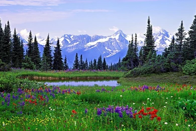 Gallery For   Colorado Mountains Wallpapers