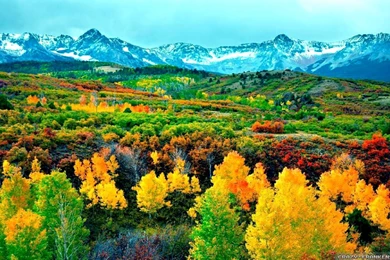 Autumn In America Wallpapers   Seasonal   Crazy Frankenstein