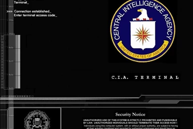 Gallery For   Cia Terminal Wallpapers
