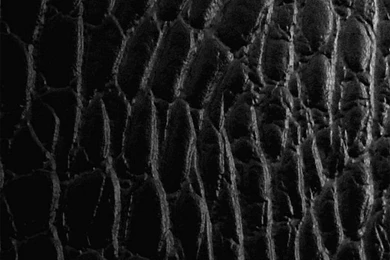 Leather Texture. 12 Backgrounds