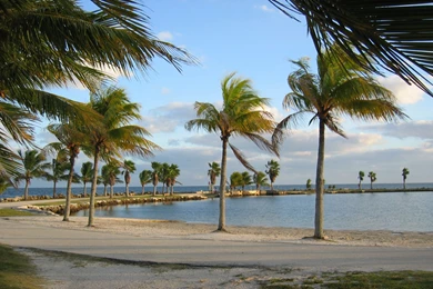 Miami beach desktop wallpapers