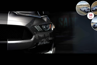 2016 Ford Mustang Shelby GT350   Grill
