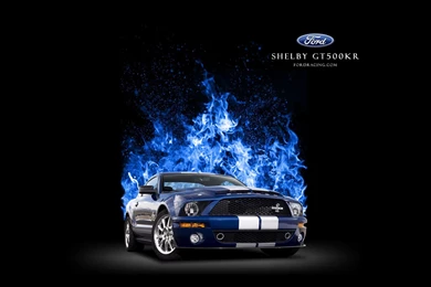 Shelby GT500 Wallpapers