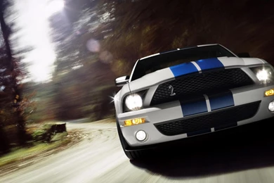 Ford Shelby Gt500 Racing Gt Hd Wallpapers   (