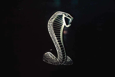 Ford Shelby Logo Wallpaper 5 download.jpg