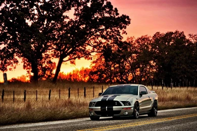 Ford Mustang Shelby Wallpapers HD Download