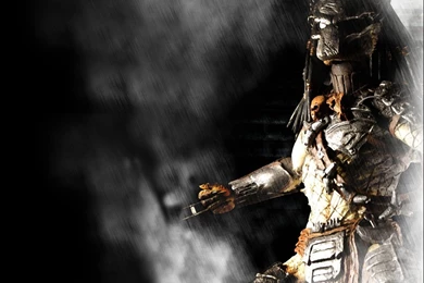 Gallery For Free Predator Wallpapers Desktop