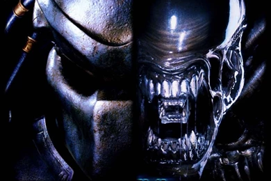 Gallery For Aliens Vs Predator Wallpapers